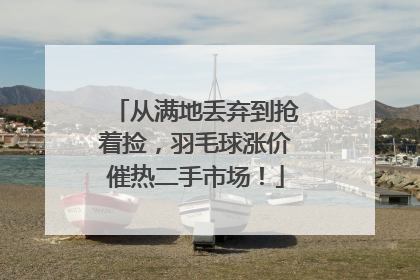 从满地丢弃到抢着捡，羽毛球涨价催热二手市场！