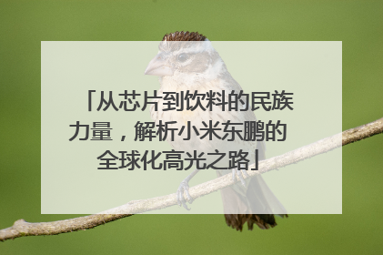 从芯片到饮料的民族力量，解析小米东鹏的全球化高光之路