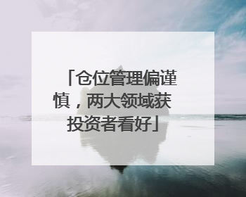 仓位管理偏谨慎，两大领域获投资者看好
