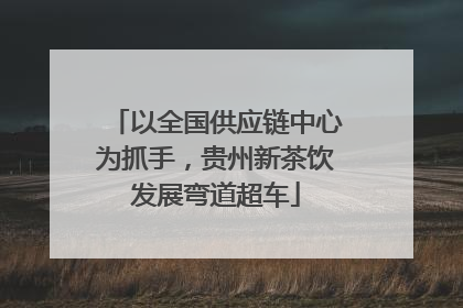 以全国供应链中心为抓手，贵州新茶饮发展弯道超车