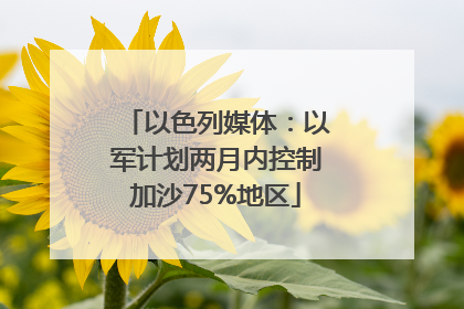 以色列媒体：以军计划两月内控制加沙75%地区