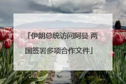 伊朗总统访问阿曼 两国签署多项合作文件