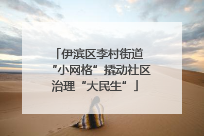 伊滨区李村街道 “小网格”撬动社区治理“大民生”