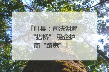 叶县：司法调解“搭桥” 稳企护商“路宽”