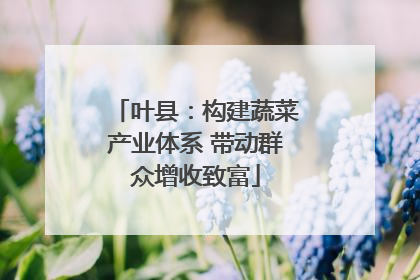 叶县：构建蔬菜产业体系 带动群众增收致富