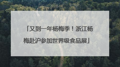又到一年杨梅季！浙江杨梅赴沪参加世界级食品展