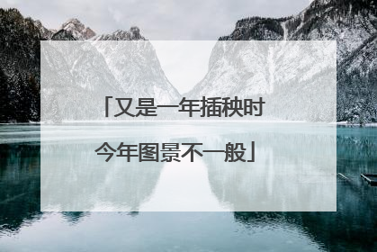 又是一年插秧时 今年图景不一般