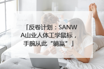 反卷计划：SANWA山业人体工学鼠标，手腕从此“躺赢”