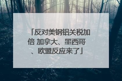 反对美钢铝关税加倍 加拿大、墨西哥、欧盟反应来了