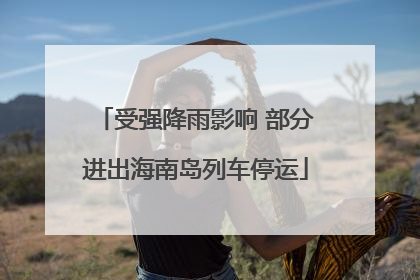 受强降雨影响 部分进出海南岛列车停运