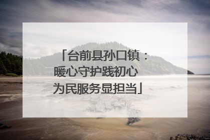 台前县孙口镇：暖心守护践初心 为民服务显担当