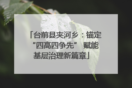 台前县夹河乡：锚定“四高四争先” 赋能基层治理新篇章