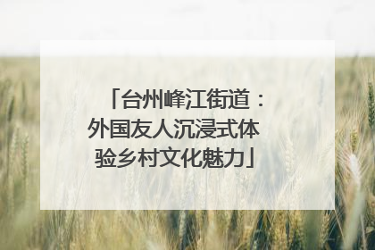 台州峰江街道：外国友人沉浸式体验乡村文化魅力
