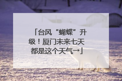 台风“蝴蝶”升级！厦门未来七天都是这个天气→