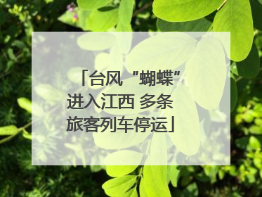 台风“蝴蝶”进入江西 多条旅客列车停运