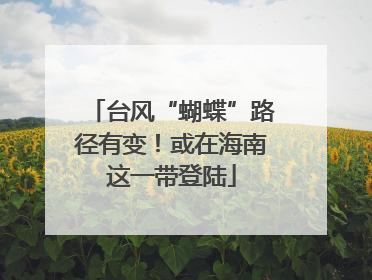 台风“蝴蝶”路径有变！或在海南这一带登陆