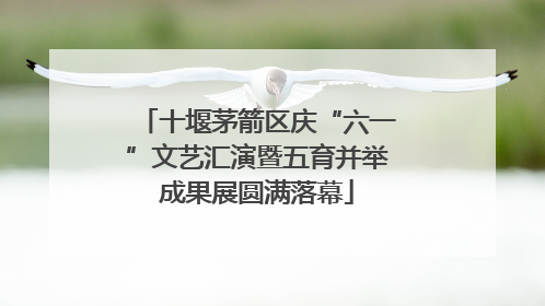 十堰茅箭区庆“六一”文艺汇演暨五育并举成果展圆满落幕