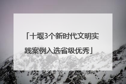 十堰3个新时代文明实践案例入选省级优秀