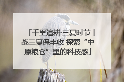 千里追耕·三夏时节丨战三夏保丰收 探索“中原粮仓”里的科技感