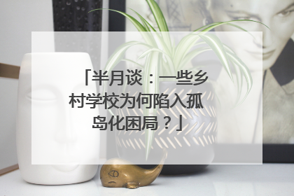 半月谈：一些乡村学校为何陷入孤岛化困局？