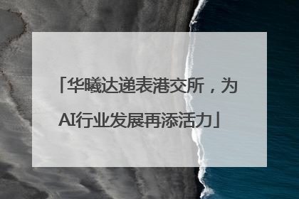 华曦达递表港交所，为AI行业发展再添活力