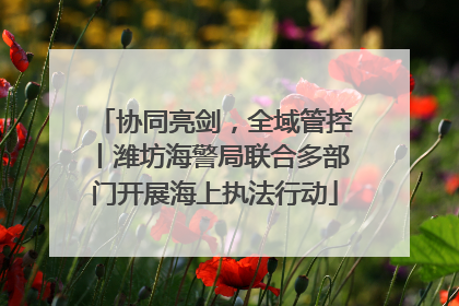 协同亮剑，全域管控丨潍坊海警局联合多部门开展海上执法行动