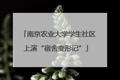 南京农业大学学生社区上演“宿舍变形记”