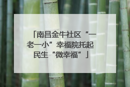 南昌金牛社区“一老一小”幸福院托起民生“微幸福”