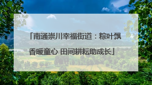 南通崇川幸福街道：粽叶飘香暖童心 田间耕耘助成长
