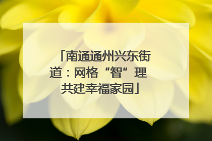 南通通州兴东街道：网格“智”理 共建幸福家园