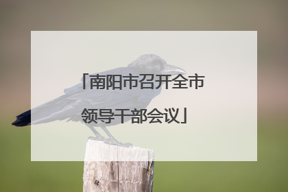 南阳市召开全市领导干部会议