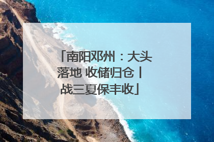 南阳邓州：大头落地 收储归仓丨战三夏保丰收