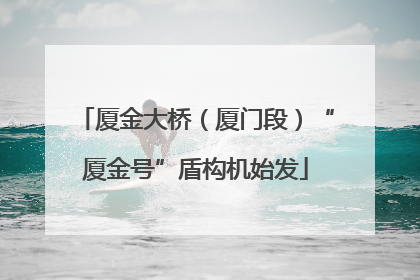 厦金大桥（厦门段）“厦金号”盾构机始发