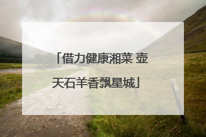 借力健康湘菜 壶天石羊香飘星城