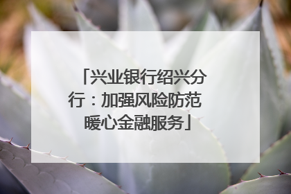 兴业银行绍兴分行：加强风险防范 暖心金融服务