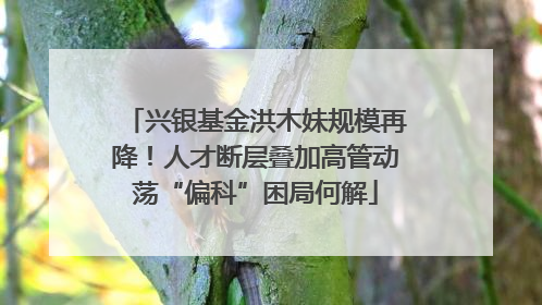 兴银基金洪木妹规模再降！人才断层叠加高管动荡“偏科”困局何解