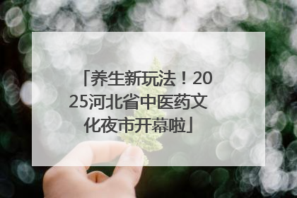 养生新玩法！2025河北省中医药文化夜市开幕啦