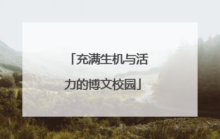 充满生机与活力的博文校园