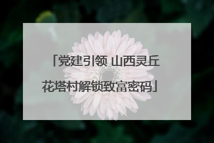 党建引领 山西灵丘花塔村解锁致富密码