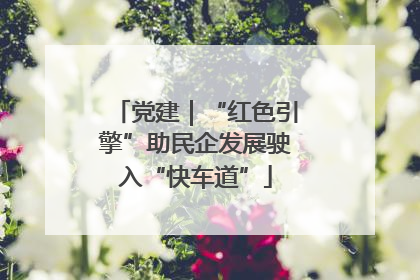 党建｜“红色引擎”助民企发展驶入“快车道”