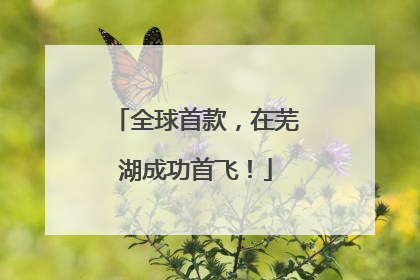 全球首款，在芜湖成功首飞！