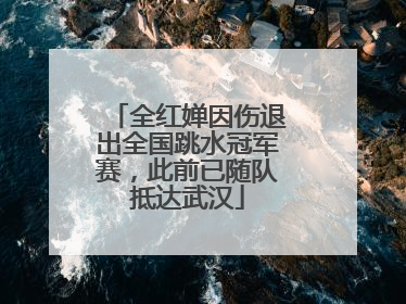 全红婵因伤退出全国跳水冠军赛，此前已随队抵达武汉