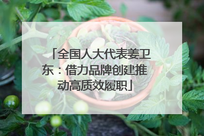 全国人大代表姜卫东：借力品牌创建推动高质效履职