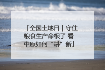 全国土地日｜守住粮食生产命根子 看中原如何“耕”新
