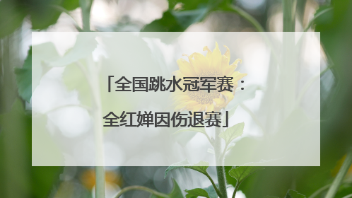 全国跳水冠军赛：全红婵因伤退赛
