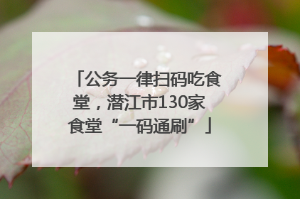 公务一律扫码吃食堂，潜江市130家食堂“一码通刷”