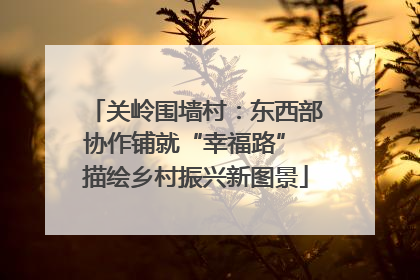关岭围墙村：东西部协作铺就“幸福路” 描绘乡村振兴新图景