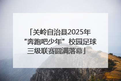 关岭自治县2025年“奔跑吧少年”校园足球三级联赛圆满落幕