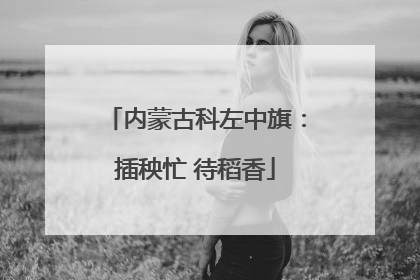 内蒙古科左中旗：插秧忙 待稻香