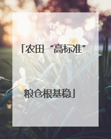 农田“高标准” 粮仓根基稳